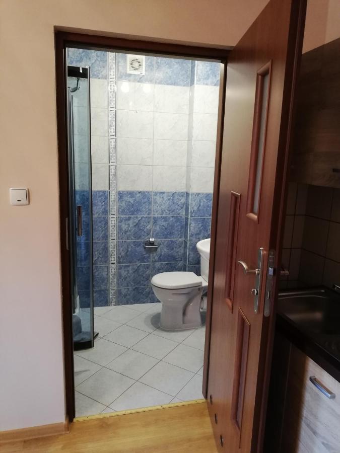 Pokoje Goscinne Alicja Kudowa-Zdrój Esterno foto